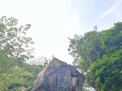 -广州市白云山风景名胜区
