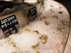 -Oyster Talks 四度蚝法餐厅