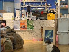 -琥珀川咖啡馆·Amber cafe(百祥路店)