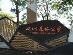 -风云岭森林公园