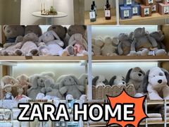 -ZARA HOME(长楹天街购物中心店)