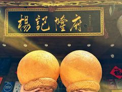 -杨记隆府(重庆总店)