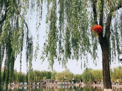 -百花洲
