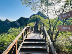 -大岭沟猕猴桃谷风景区