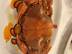 鸿星海鲜酒家(尖沙咀店)-鸿星海鲜酒家(格兰中心店)