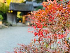 景观位-料亭菊水楼