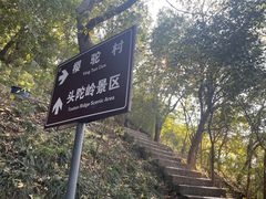 -紫金山山顶公园