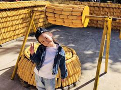 -北戴河集发农业梦想王国