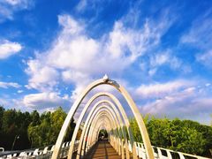 -大兴滨河森林公园