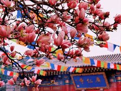 -西安市广仁寺