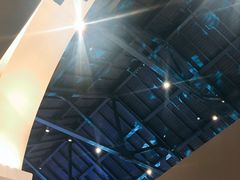 -TESLA 特斯拉(上海太古汇体验店)