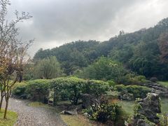 -陶祖圣境风景区