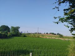 -光明小镇欢乐田园