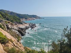 -广东惠东海龟国家级自然保护区