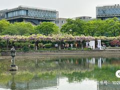 -嘉定紫藤园