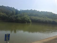 -滴水岩森林公园