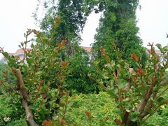 外景-河南省黄河迎宾馆