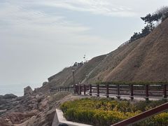 -燕儿岛山公园