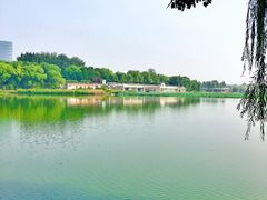 -大兴滨河森林公园