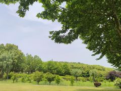 -宜兴龙背山森林公园