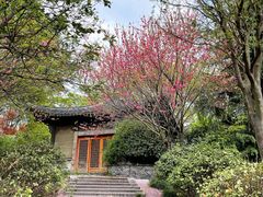 -桐乡红杉邨