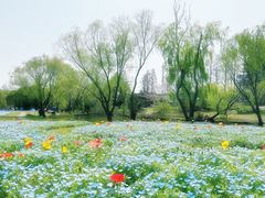-上海滨江森林公园