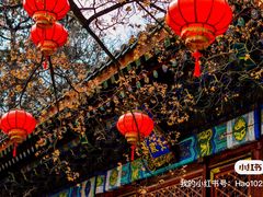 -香山公园