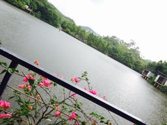 -老木棉·匠园