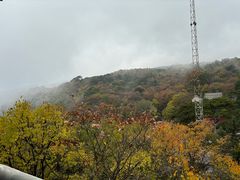-妙峰山风景名胜区