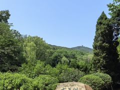 -棒棰岛宾馆景区