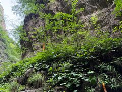 -龙门涧景区