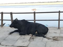 -恒河