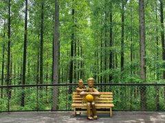 -黄海国家森林公园