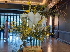 -云溪植物园