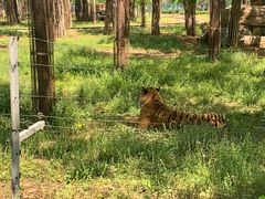 -秦皇岛野生动物园