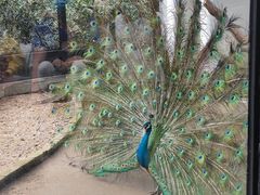 -荆州中山公园动物园