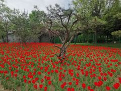 -迎泽公园