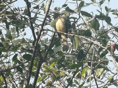 -白沙门生态公园