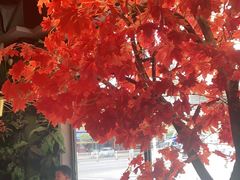 -蛙来哒(东城万达店)