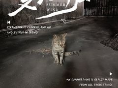-猫岛主趣味餐厅(鼓浪屿店)