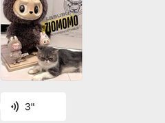 -泡泡玛特POPMART(蓝色港湾店)