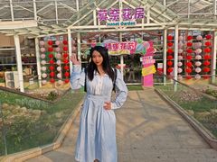 -盈香心动乐园