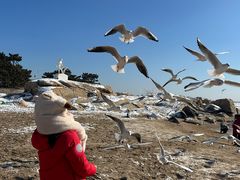 -老虎石海上公园