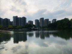 -新江湾城公园