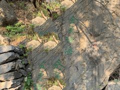 -北京鹫峰国家森林公园