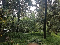 -乾园.魏庐湖景餐厅(花港店)
