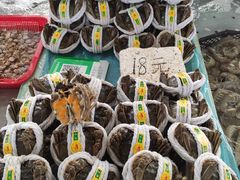 -南沙十九涌渔人码头-南门