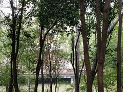 -西安市长乐公园