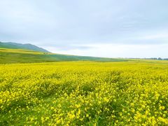 -扁都口生态休闲旅游区