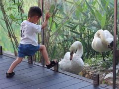 -杭州开元森泊度假乐园